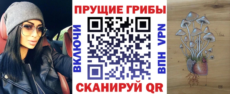Галлюциногенные грибы Psilocybe  Темников 
